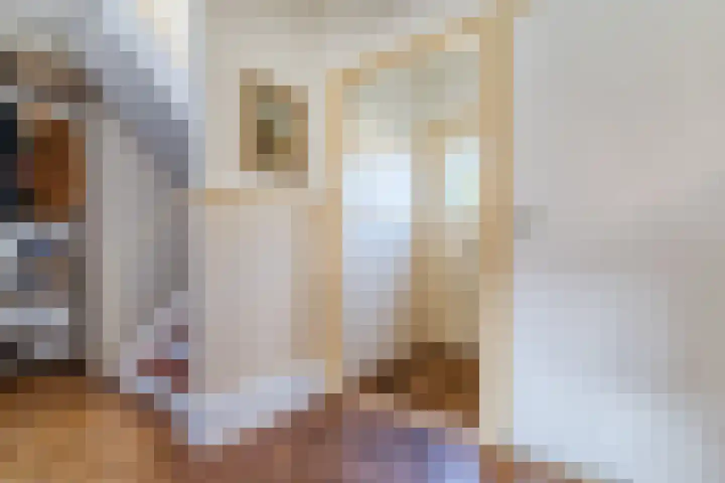 Ir. de Vassystraat 4 Petten thumbnail 20