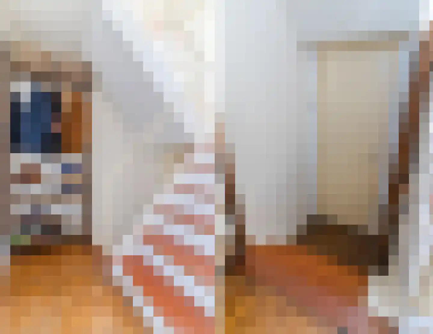 Ir. de Vassystraat 4 Petten thumbnail 22