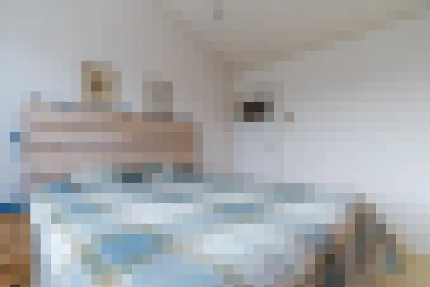 Ir. de Vassystraat 4 Petten thumbnail 26