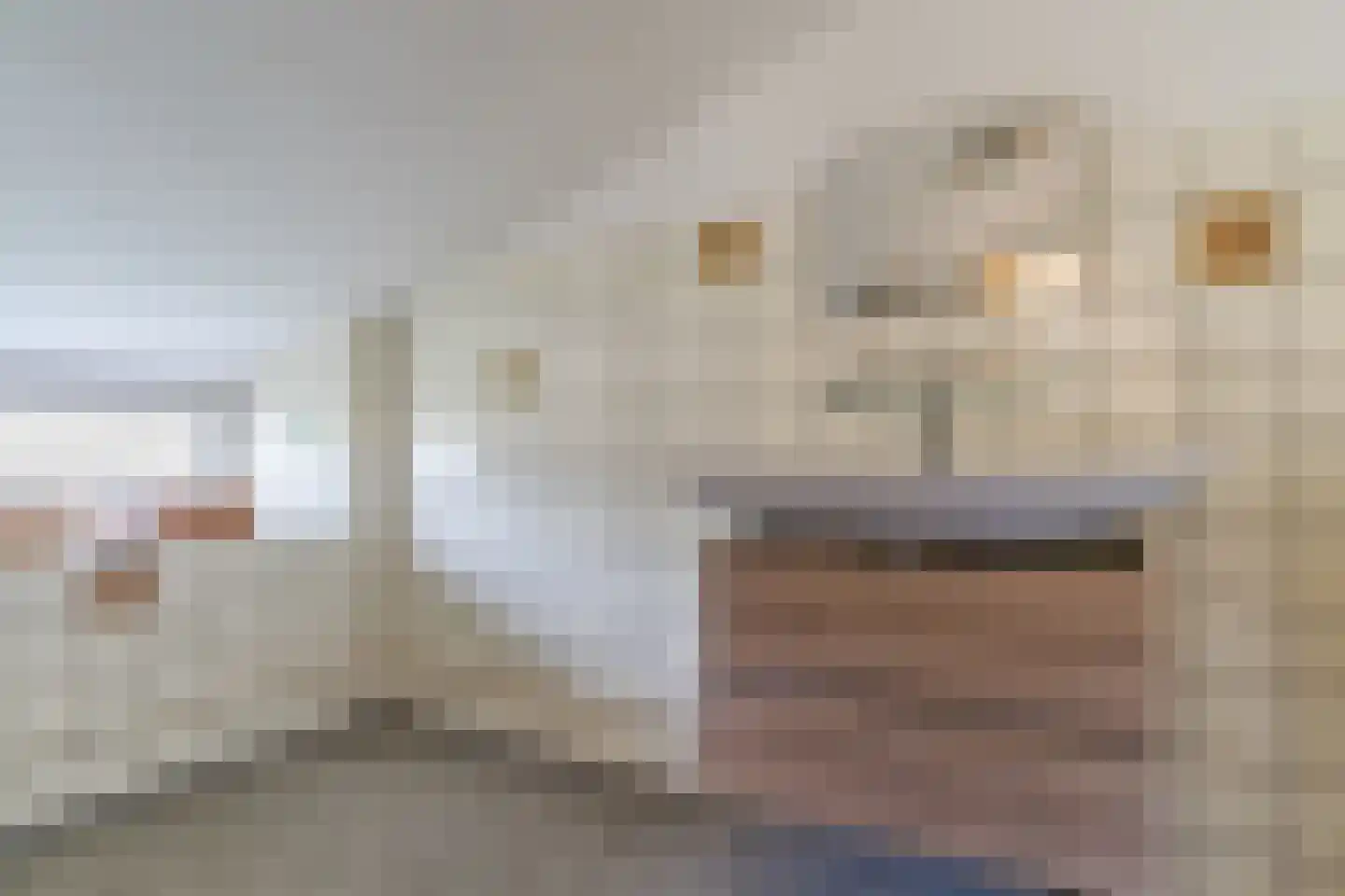 Ir. de Vassystraat 4 Petten thumbnail 31