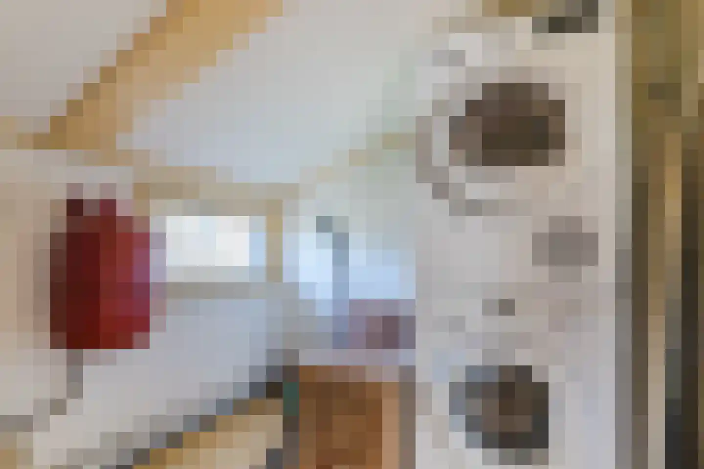Ir. de Vassystraat 4 Petten thumbnail 34