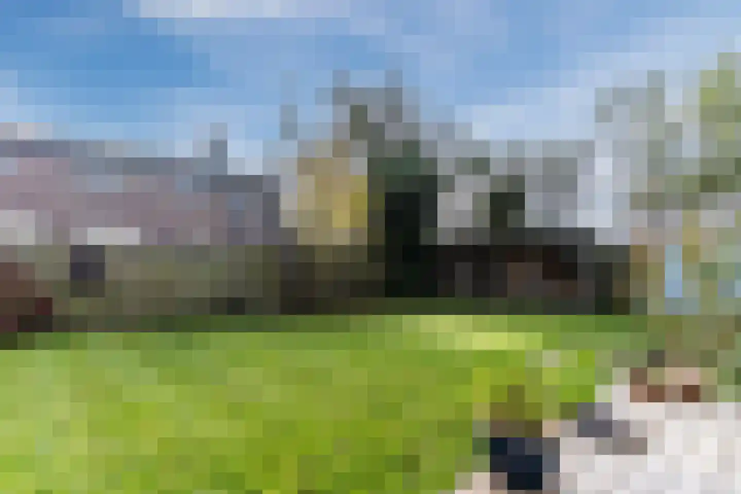 Ir. de Vassystraat 4 Petten thumbnail 35