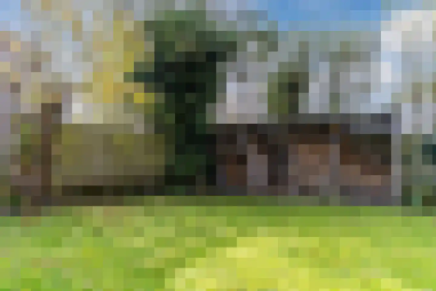 Ir. de Vassystraat 4 Petten thumbnail 4