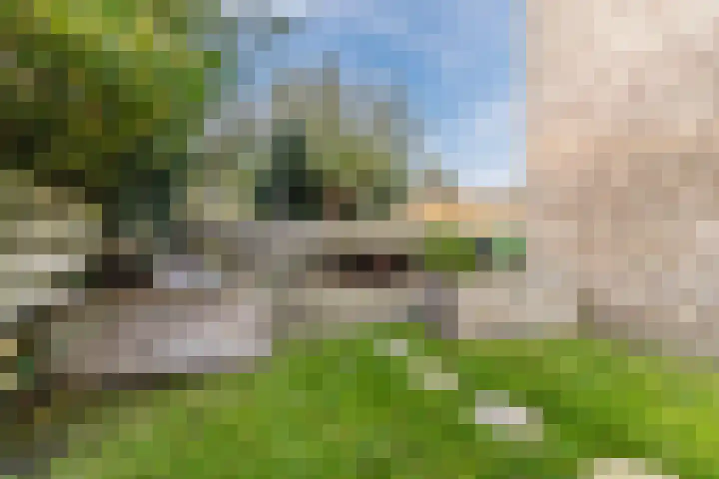 Ir. de Vassystraat 4 Petten thumbnail 42