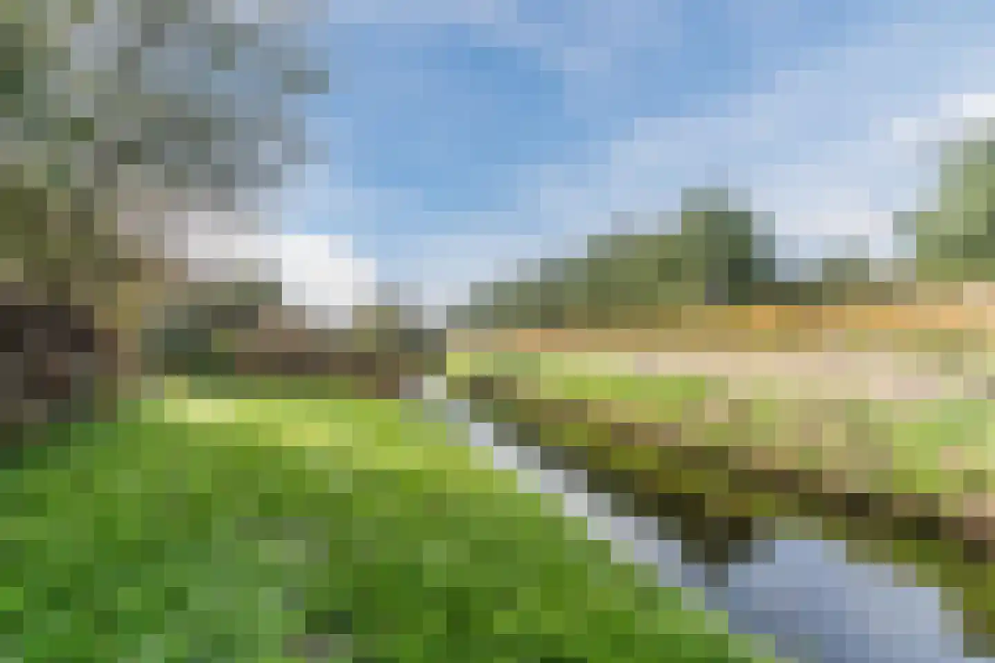 Ir. de Vassystraat 4 Petten thumbnail 45