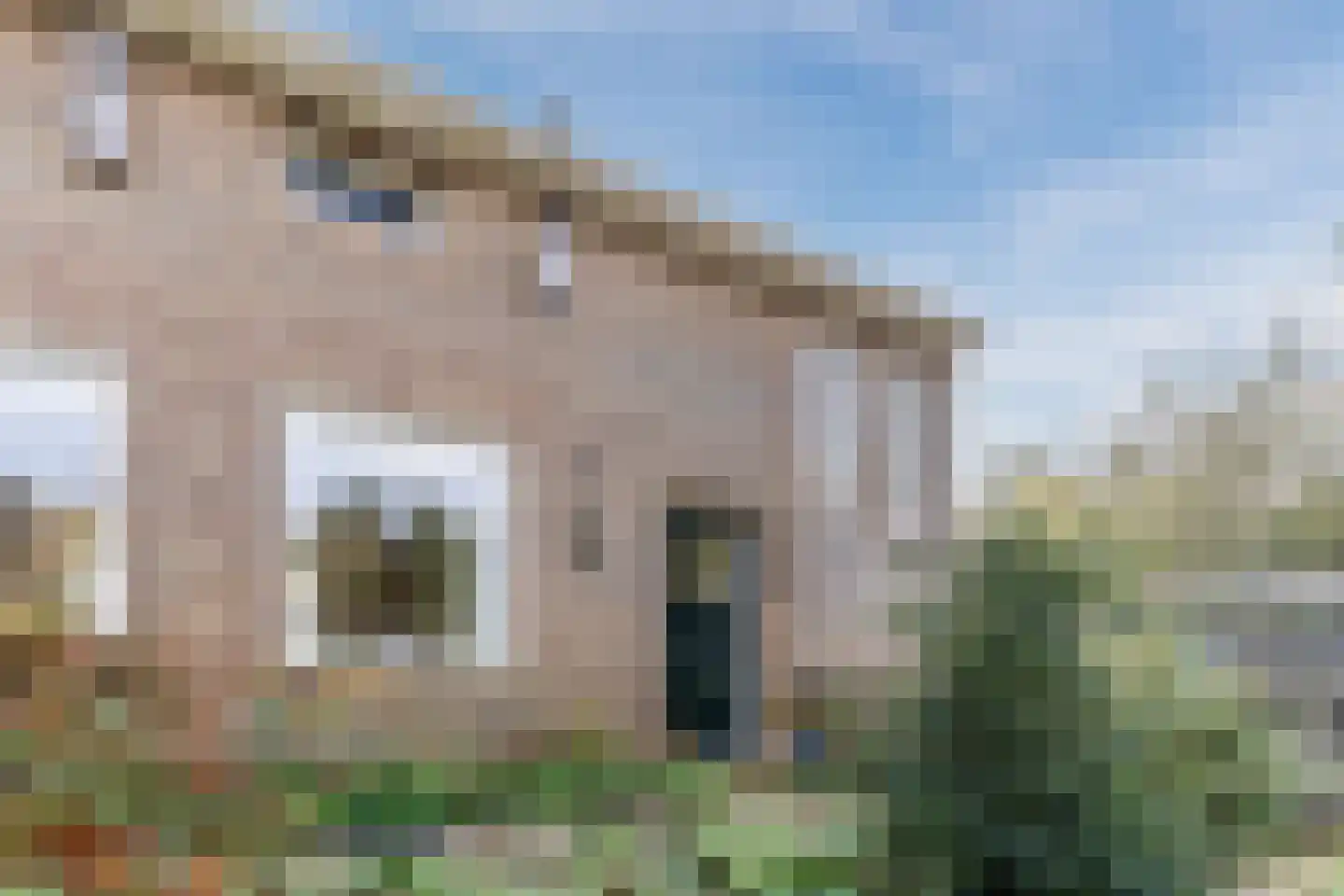 Ir. de Vassystraat 4 Petten thumbnail 46