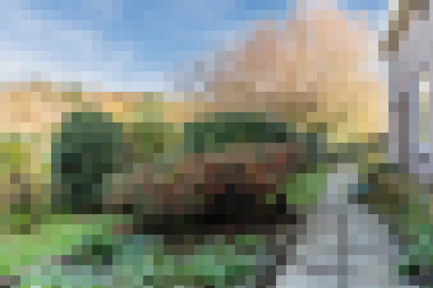 Ir. de Vassystraat 4 Petten thumbnail 50
