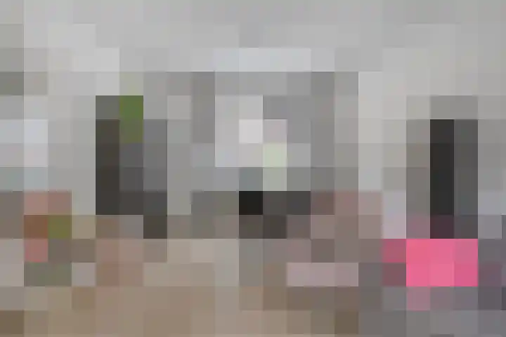 Ir. de Voogtstraat 18 Geertruidenberg thumbnail 10