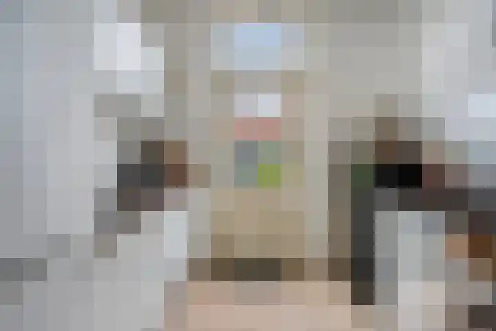 Ir. de Voogtstraat 18 Geertruidenberg thumbnail 12