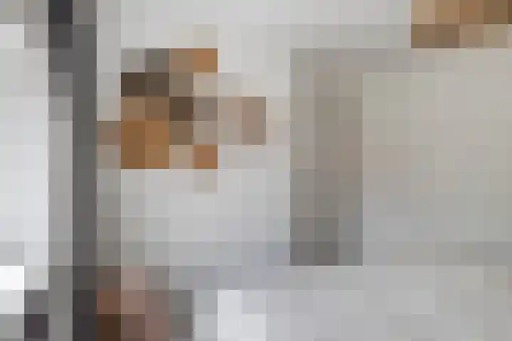 Ir. de Voogtstraat 18 Geertruidenberg thumbnail 18