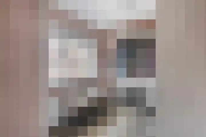Ir. de Voogtstraat 18 Geertruidenberg thumbnail 20