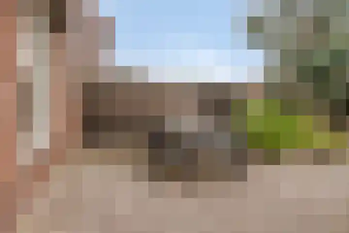 Ir. de Voogtstraat 18 Geertruidenberg thumbnail 22