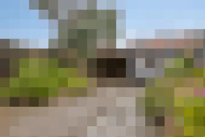 Ir. de Voogtstraat 18 Geertruidenberg thumbnail 24