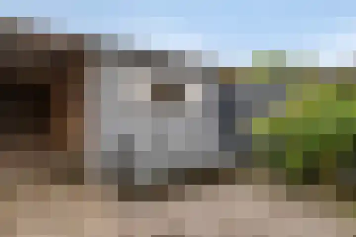 Ir. de Voogtstraat 18 Geertruidenberg thumbnail 25