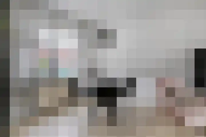 Ir. de Voogtstraat 18 Geertruidenberg thumbnail 8