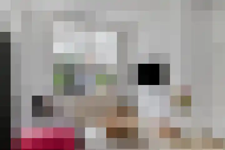 Ir. de Voogtstraat 18 Geertruidenberg thumbnail 9