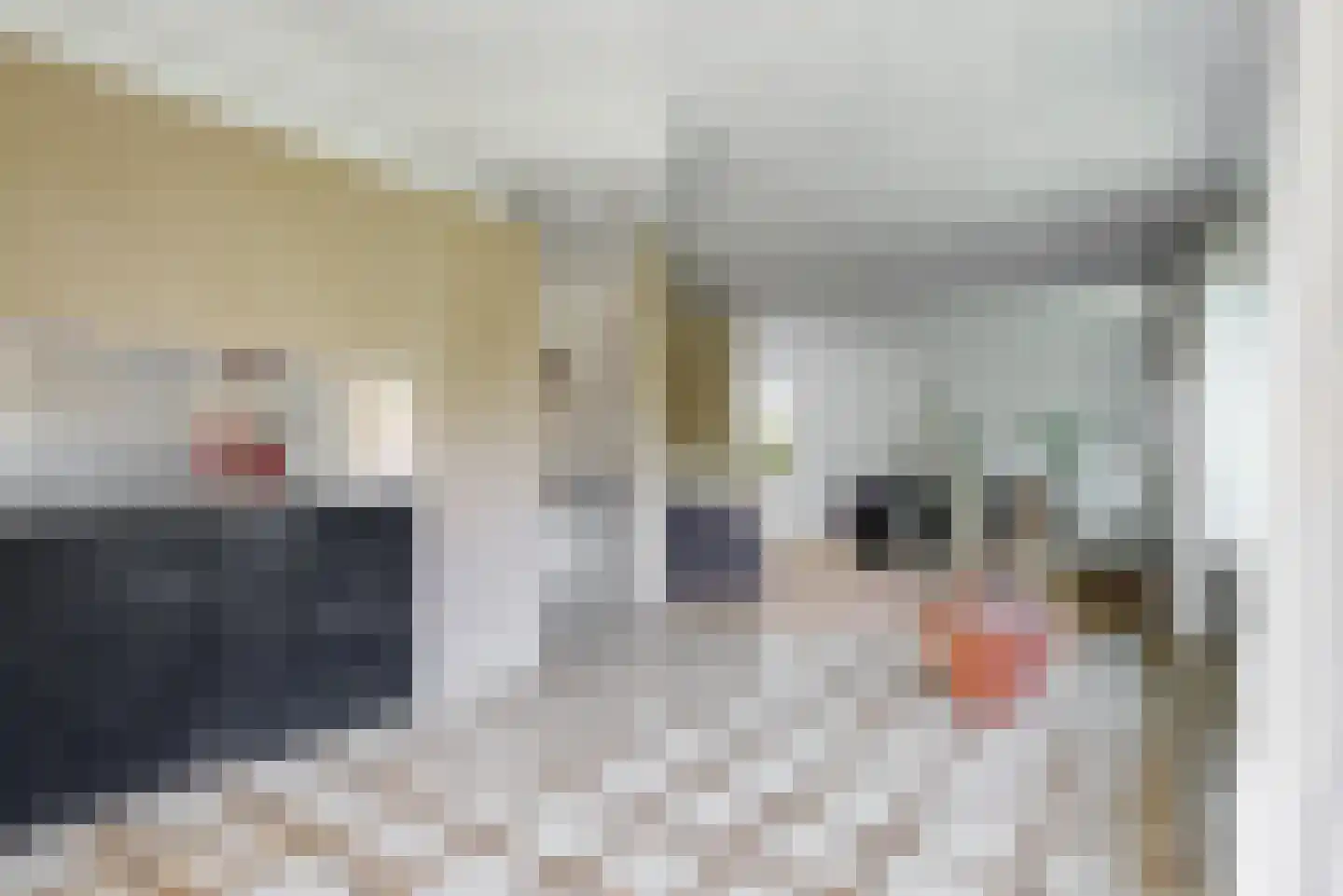 Ir. Dingemanspark 23 Nieuwkoop thumbnail 11