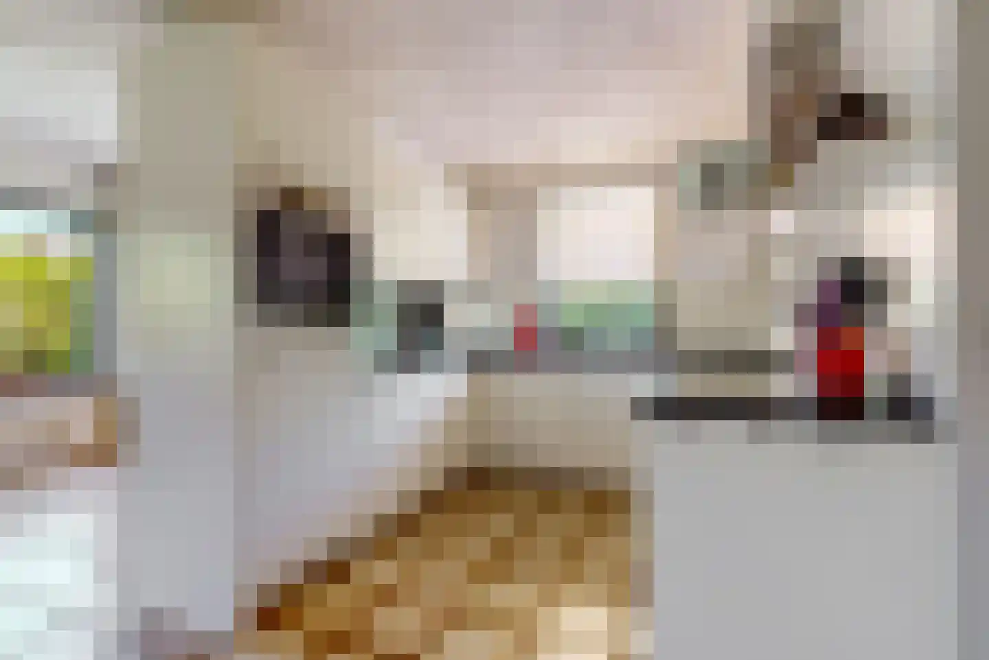 Ir. Dingemanspark 23 Nieuwkoop thumbnail 12