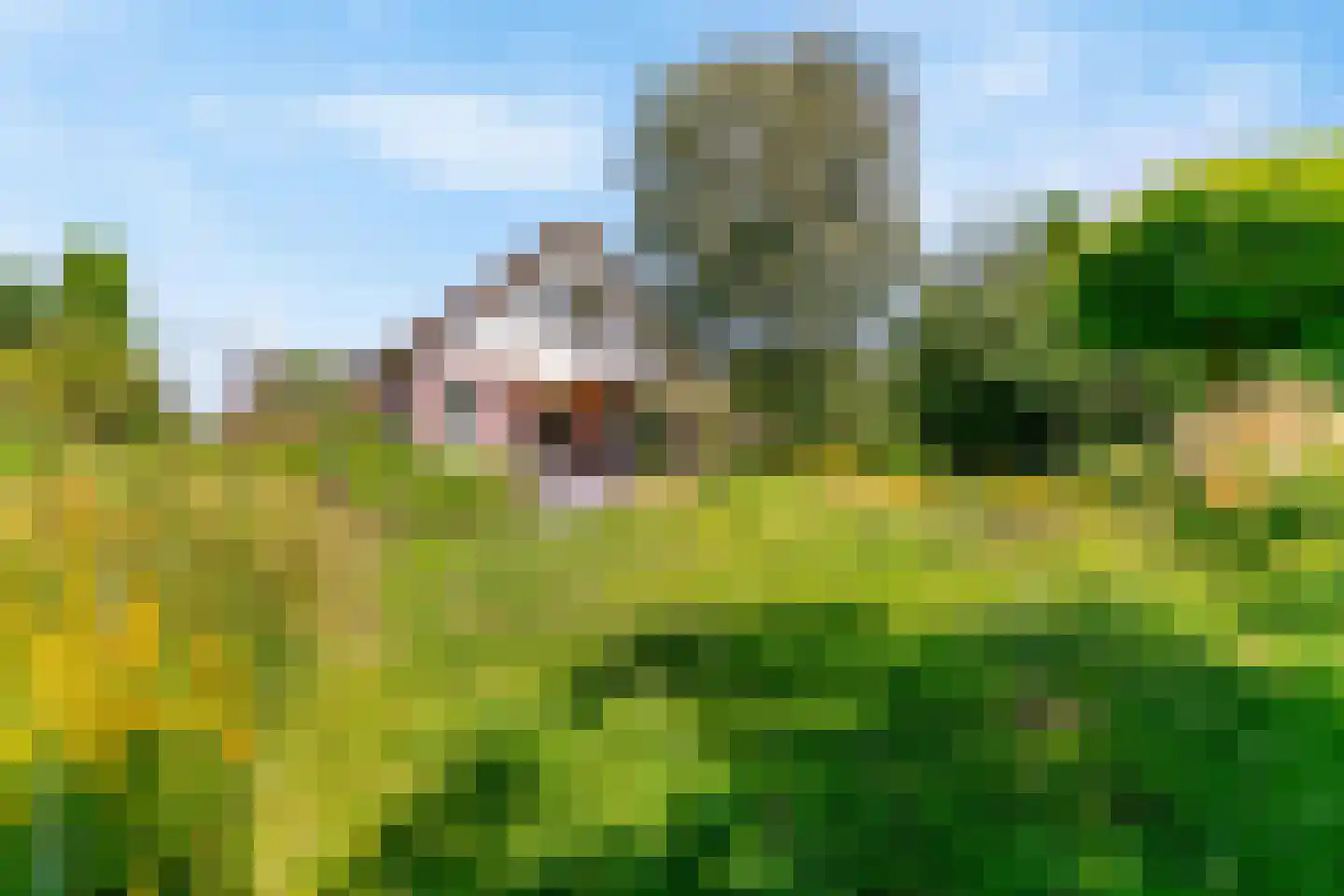Ir. Dingemanspark 23 Nieuwkoop thumbnail 24