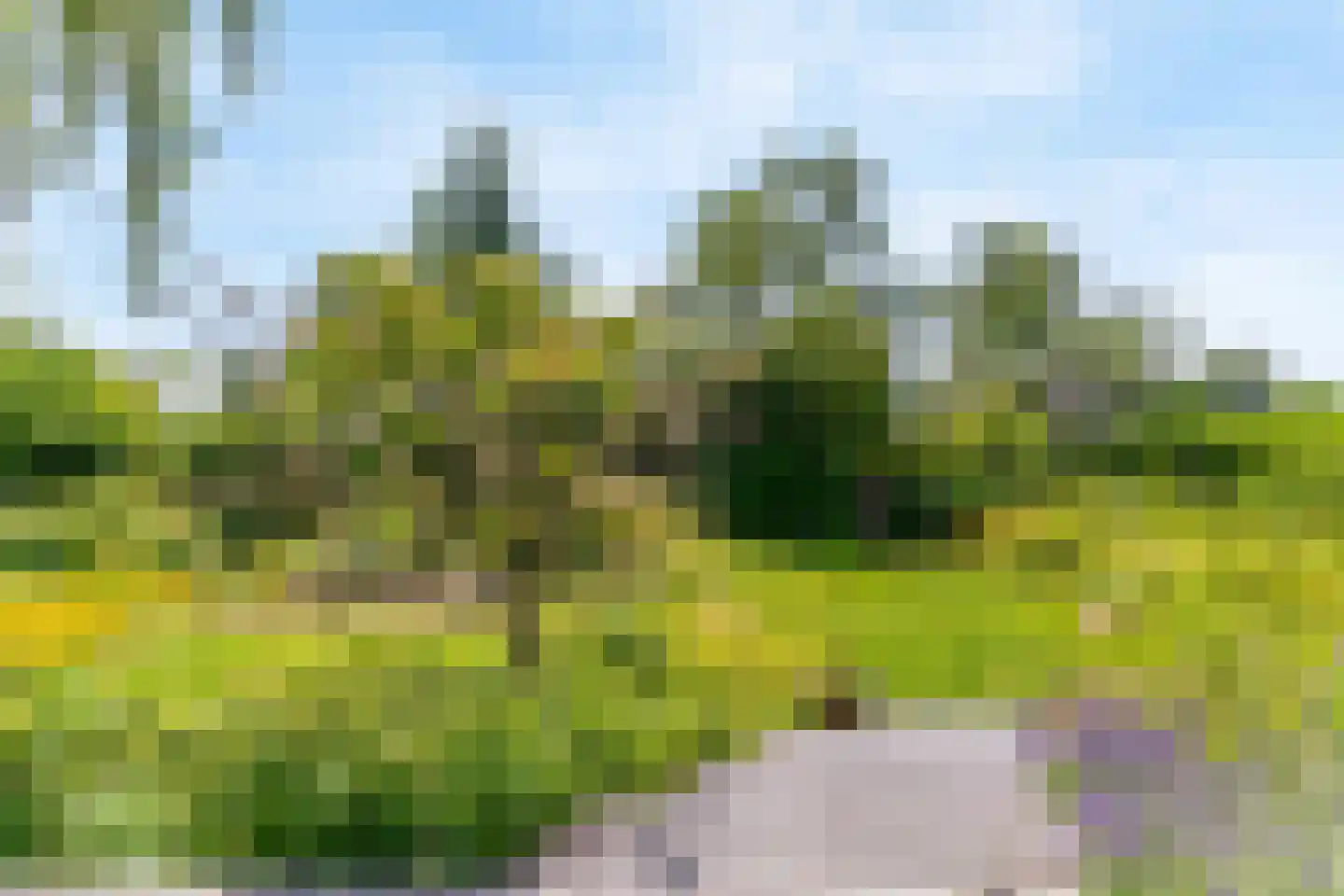 Ir. Dingemanspark 23 Nieuwkoop thumbnail 25