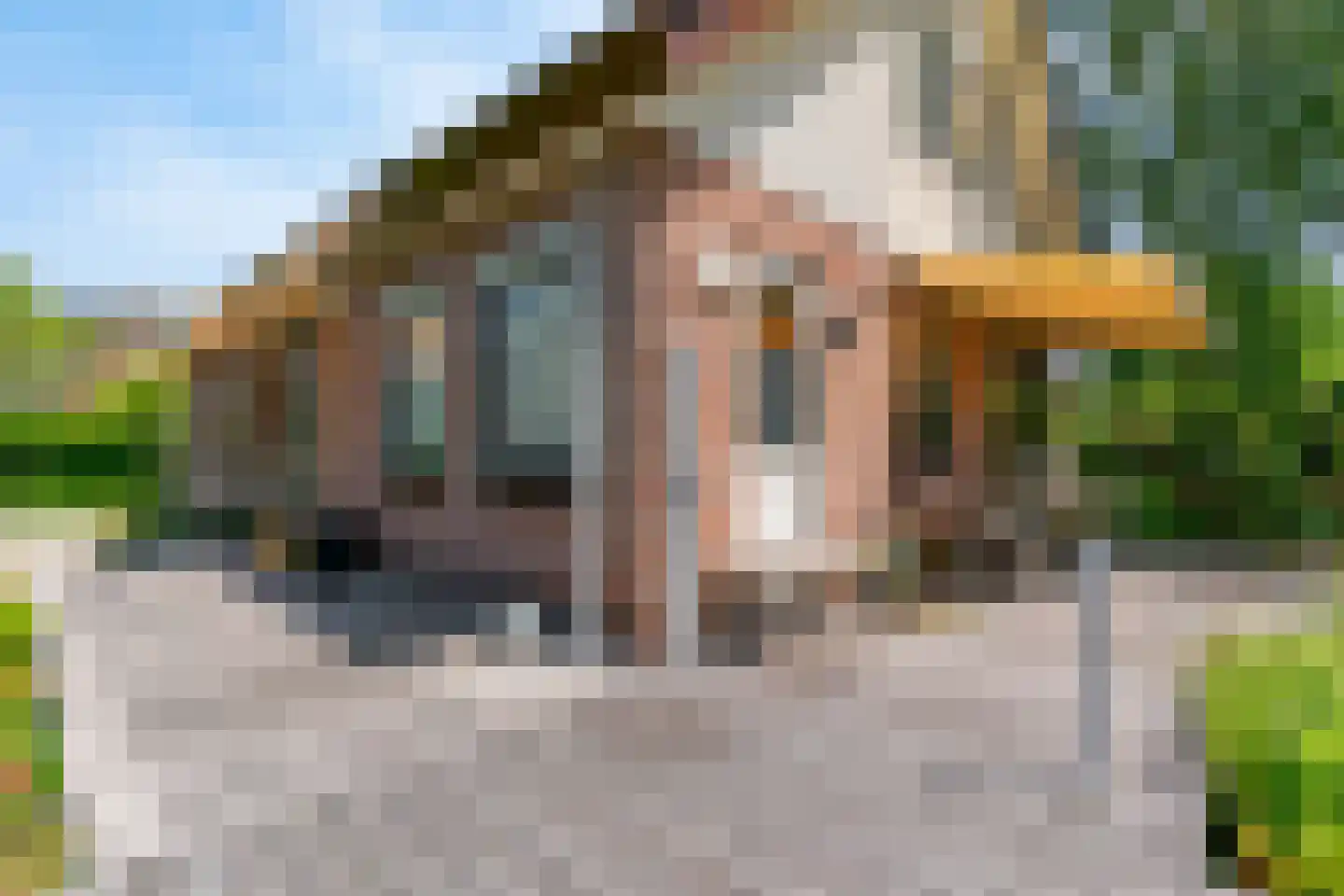 Ir. Dingemanspark 23 Nieuwkoop thumbnail 26