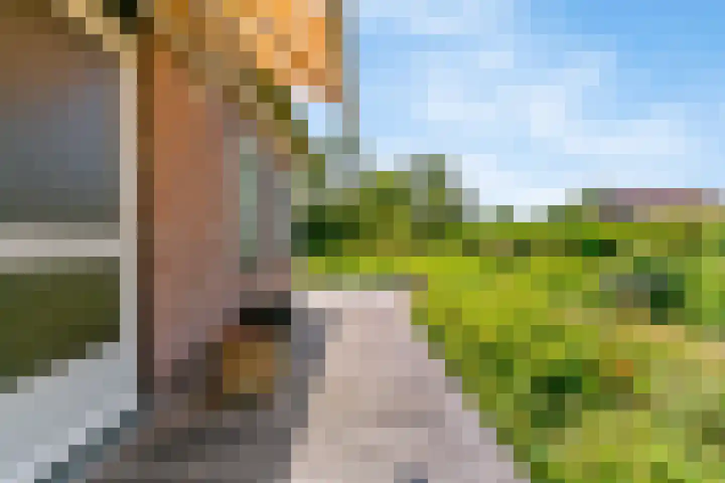 Ir. Dingemanspark 23 Nieuwkoop thumbnail 27