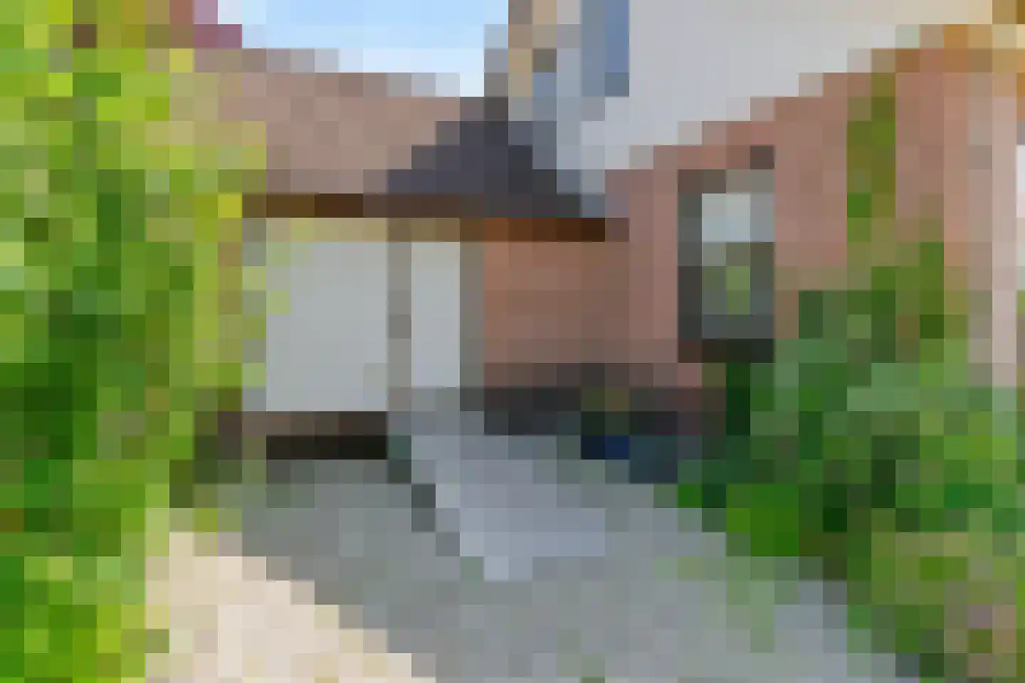 Ir. Dingemanspark 23 Nieuwkoop thumbnail 30