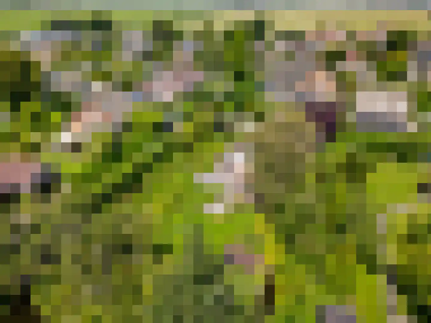 Ir. Dingemanspark 23 Nieuwkoop thumbnail 31