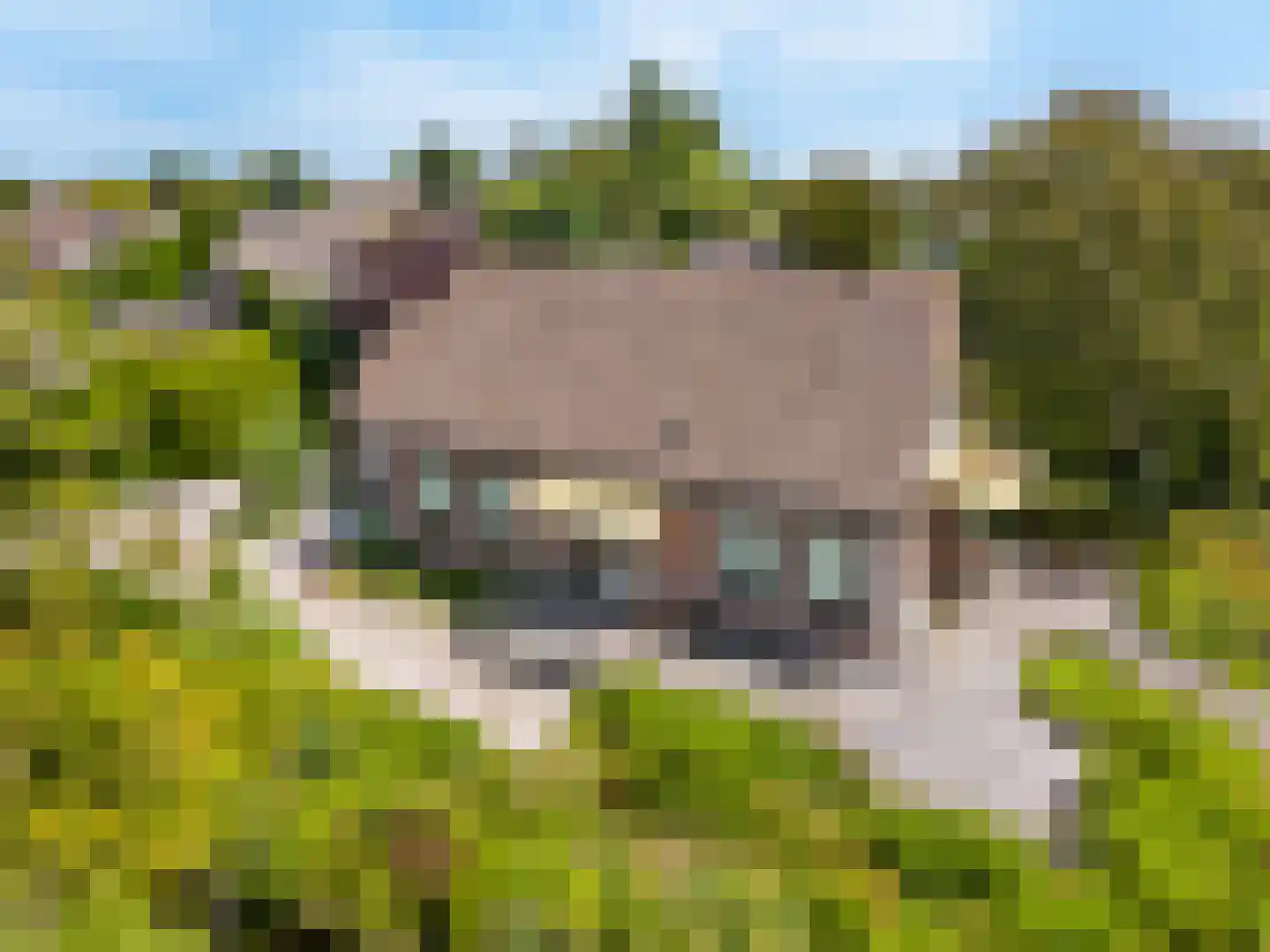 Ir. Dingemanspark 23 Nieuwkoop thumbnail 32