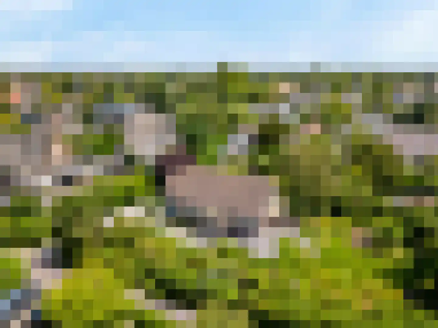Ir. Dingemanspark 23 Nieuwkoop thumbnail 33