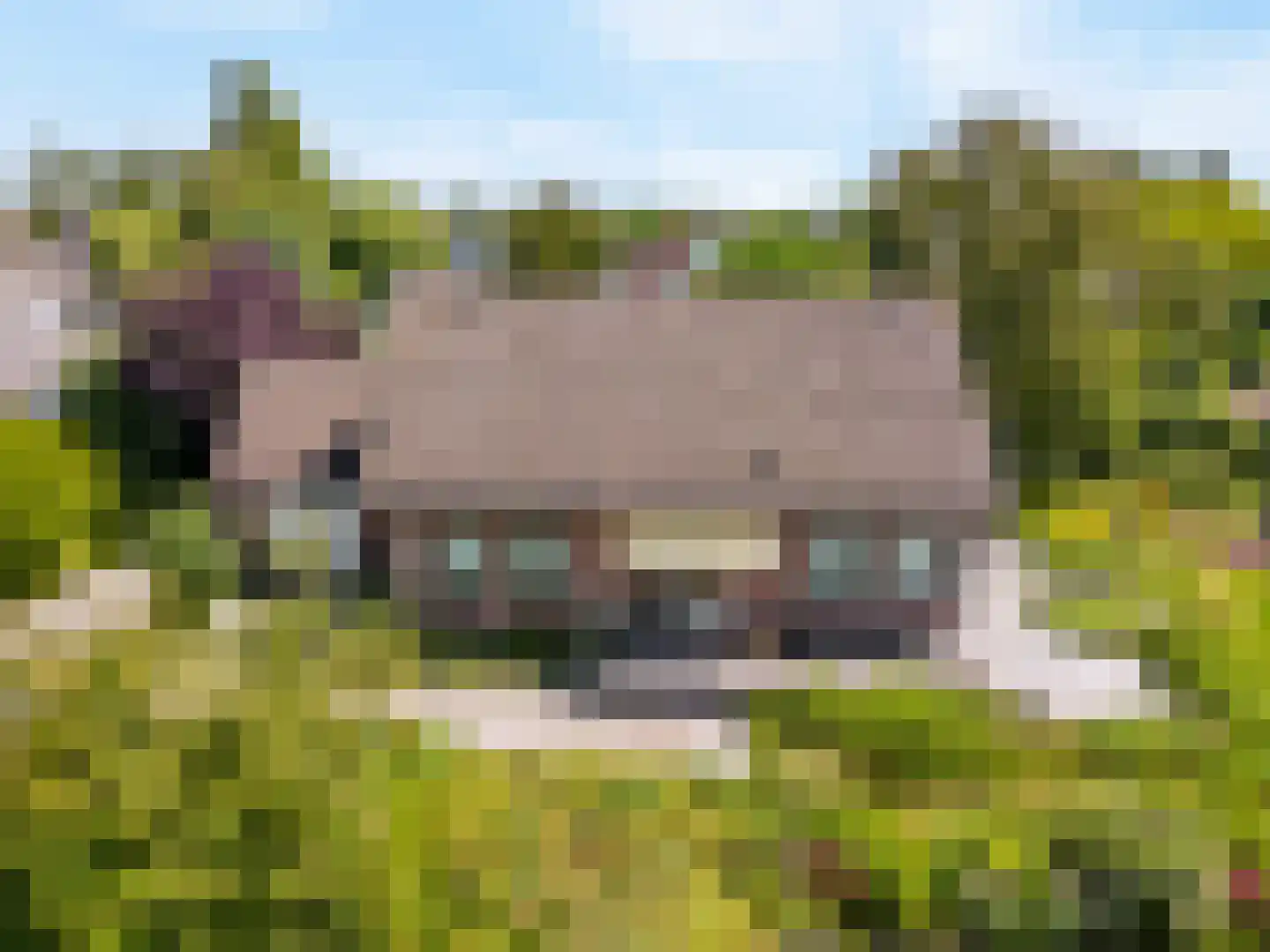 Ir. Dingemanspark 23 Nieuwkoop thumbnail 34