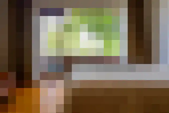 Ir. Dingerlaan 5 Heerlen thumbnail 15