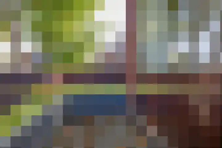 Ir. Dingerlaan 5 Heerlen thumbnail 16