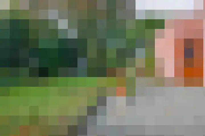 Ir. Dingerlaan 5 Heerlen thumbnail 24