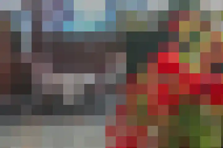 Ir. Dingerlaan 5 Heerlen thumbnail 26