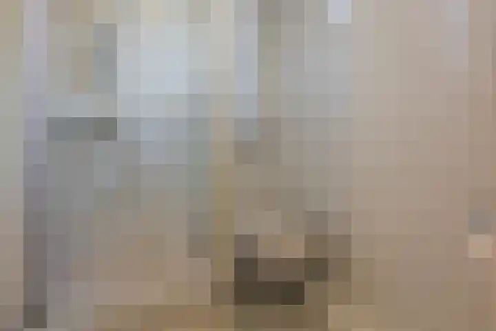 Ir. Dingerlaan 5 Heerlen thumbnail 4