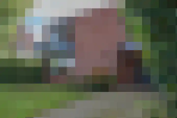 Ir. Dingerlaan 5 Heerlen thumbnail 6