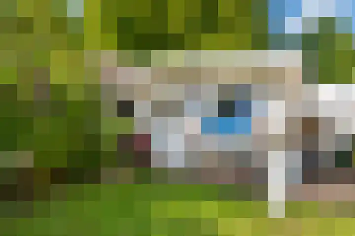 Ir. Dingerlaan 8 Heerlen thumbnail 19
