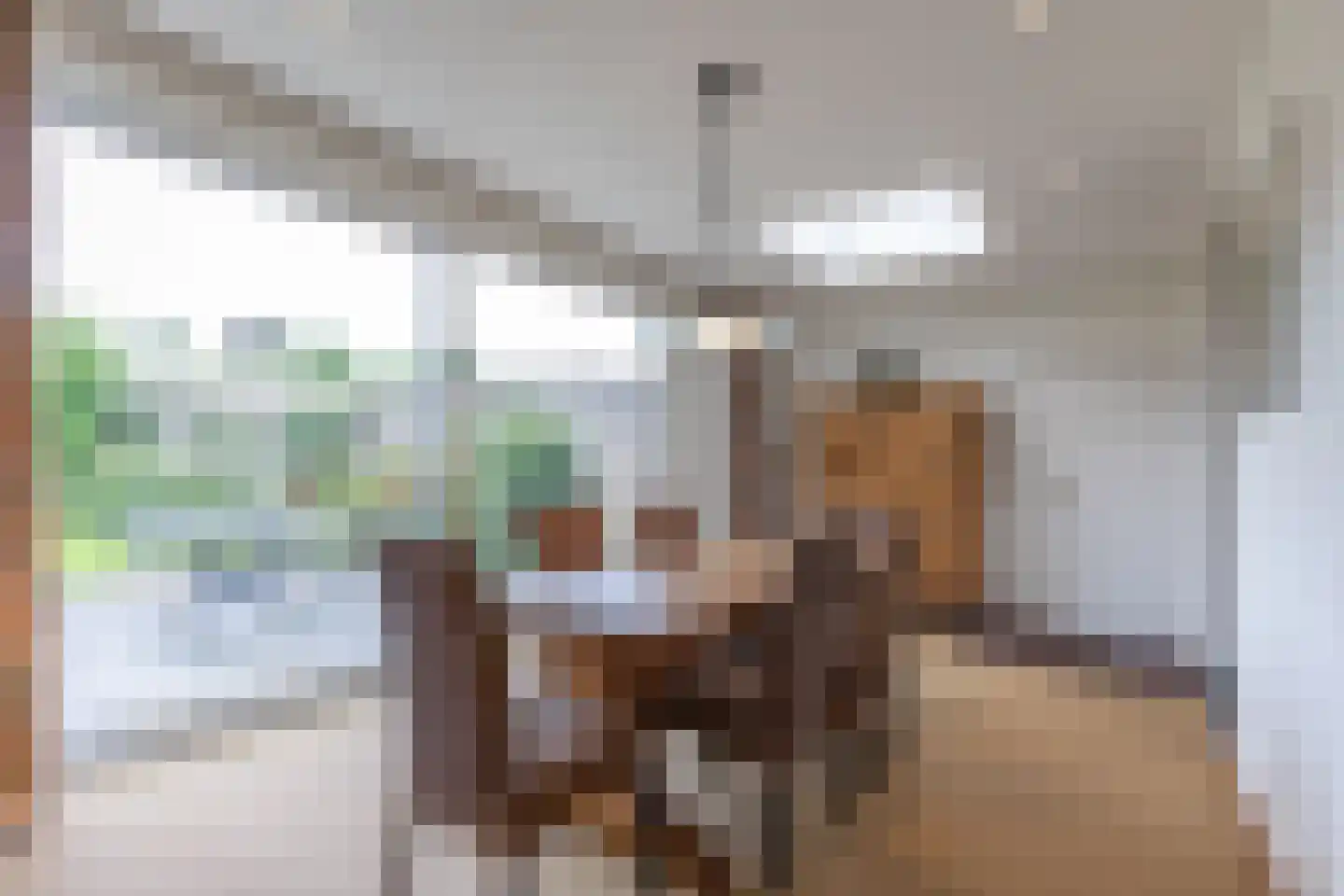 Ir. Dingerlaan 9 Heerlen thumbnail 7