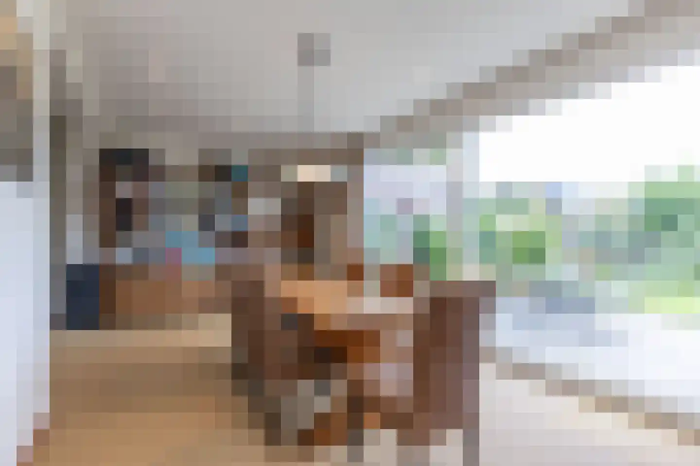 Ir. Dingerlaan 9 Heerlen thumbnail 8