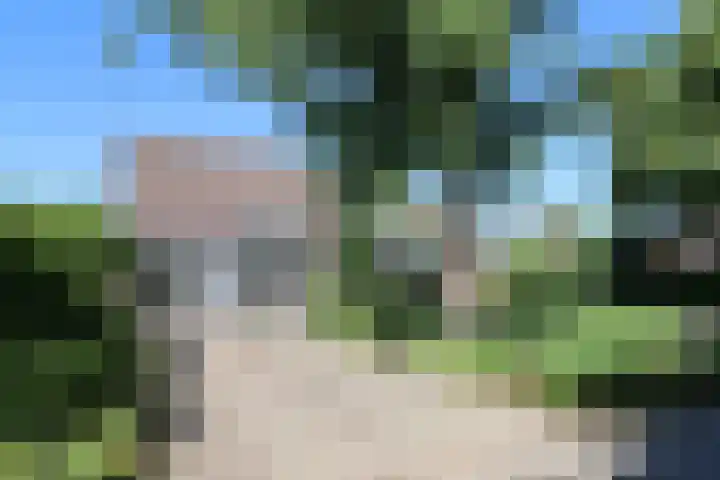 Ir. Dirk Asjesloane 9 Feanwâlden thumbnail 10