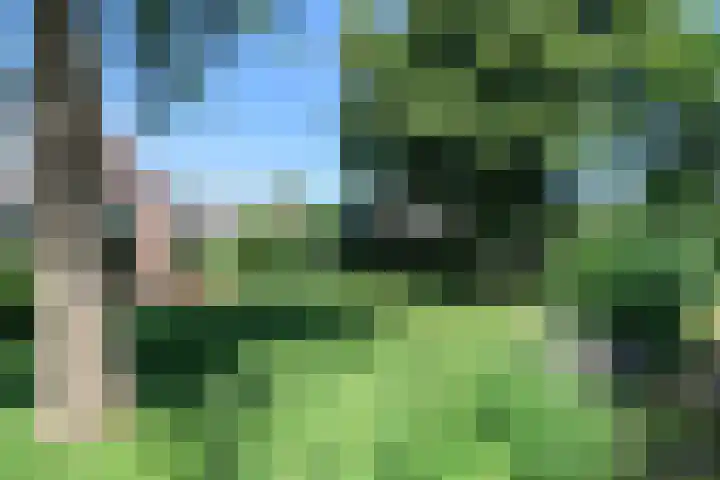 Ir. Dirk Asjesloane 9 Feanwâlden thumbnail 11