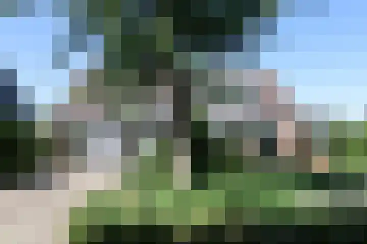 Ir. Dirk Asjesloane 9 Feanwâlden thumbnail 12