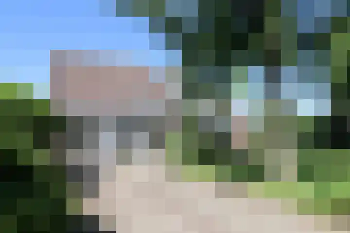 Ir. Dirk Asjesloane 9 Feanwâlden thumbnail 13