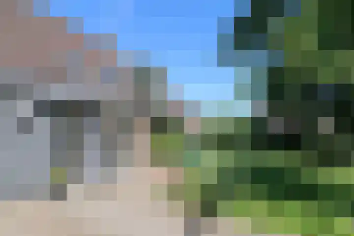 Ir. Dirk Asjesloane 9 Feanwâlden thumbnail 14