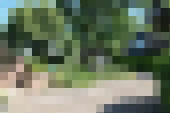 Ir. Dirk Asjesloane 9 Feanwâlden thumbnail 15