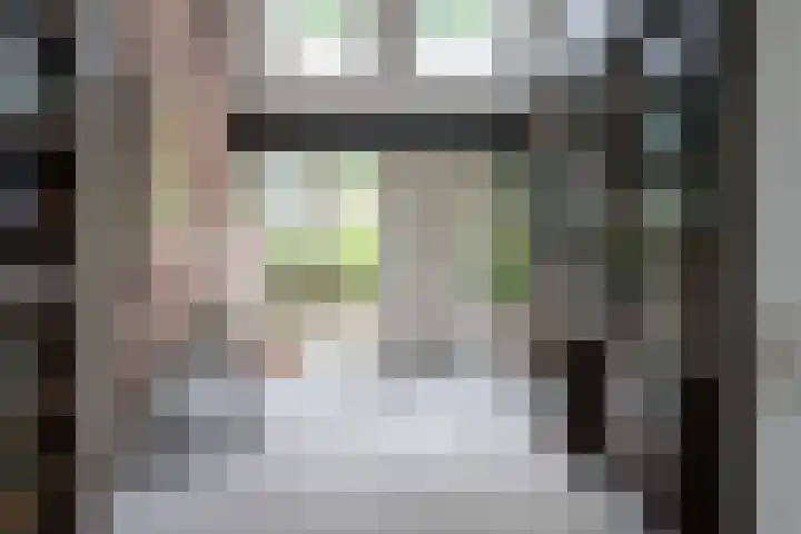Ir. Dirk Asjesloane 9 Feanwâlden thumbnail 17