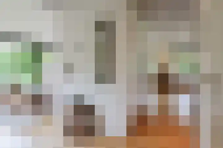 Ir. Dirk Asjesloane 9 Feanwâlden thumbnail 19