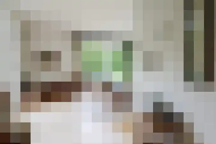 Ir. Dirk Asjesloane 9 Feanwâlden thumbnail 20