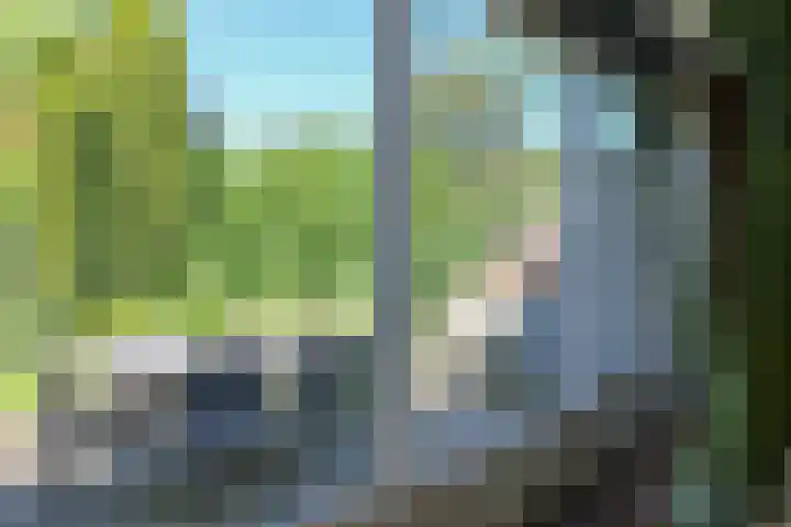 Ir. Dirk Asjesloane 9 Feanwâlden thumbnail 21